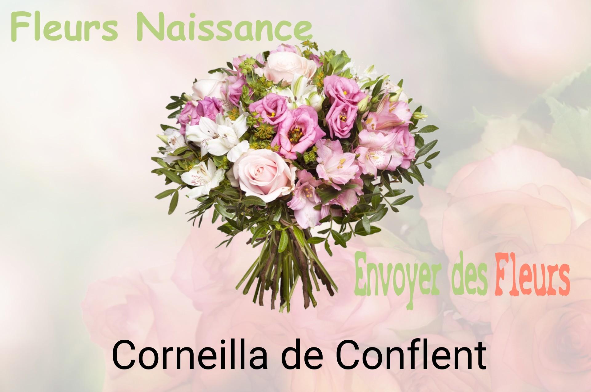 Bouquet de fleurs de naissance livré à Corneilla-de-Conflent